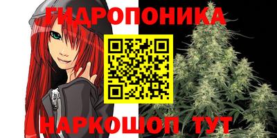 спиды Обь