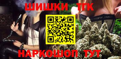 тгк Партизанск