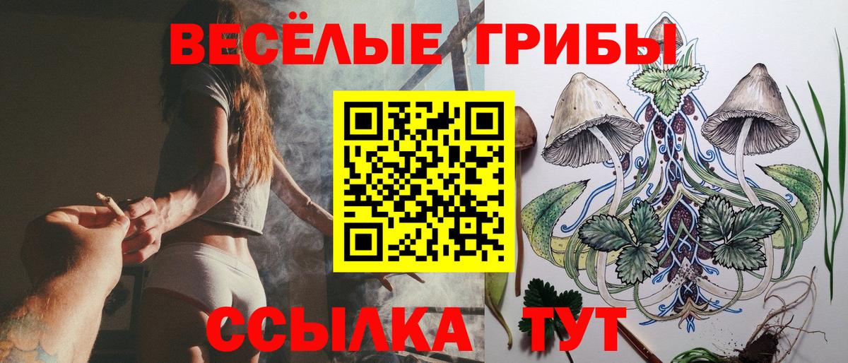 Псилоцибиновые грибы мухоморы Северобайкальск