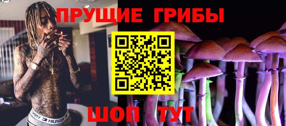Галлюциногенные грибы мицелий  купить закладку  Северобайкальск  Вход с VPN 